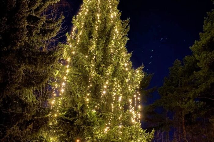 Felles måltid og tenning av julegran